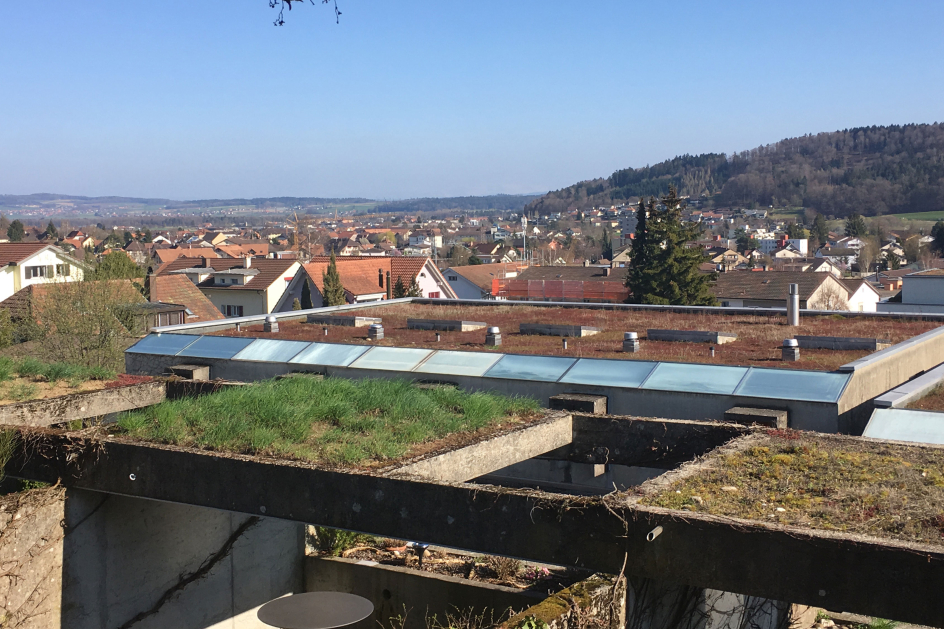 Brügg, Betonsanierung Rainpark